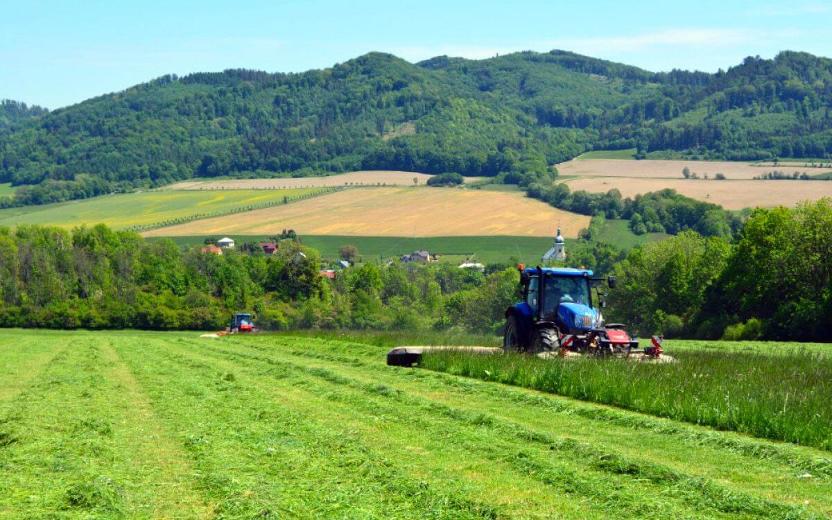 "We have to clearly confirm the success of the event, as no deer were mowed down"says Ing. Roman Urbanec Ph.D.