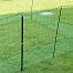 Green fencing net with gate for poultry, hens, chickens, length 24 m, height 112 cm