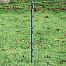 Set odour + electric otter fence - protection of pond, pond, power supply