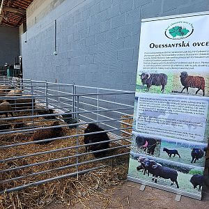 Pacho-lek® nejen pachové ohradníky na Ostrava Wool Fest 2026 (CZ)