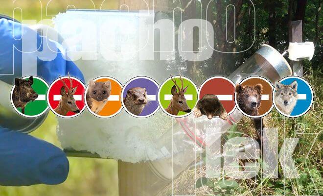 Effectiveness of products