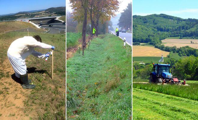 Successful implementations